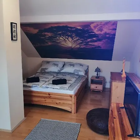 Elza Apartament Makó