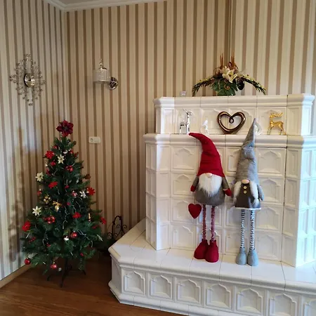 Elza Apartament *