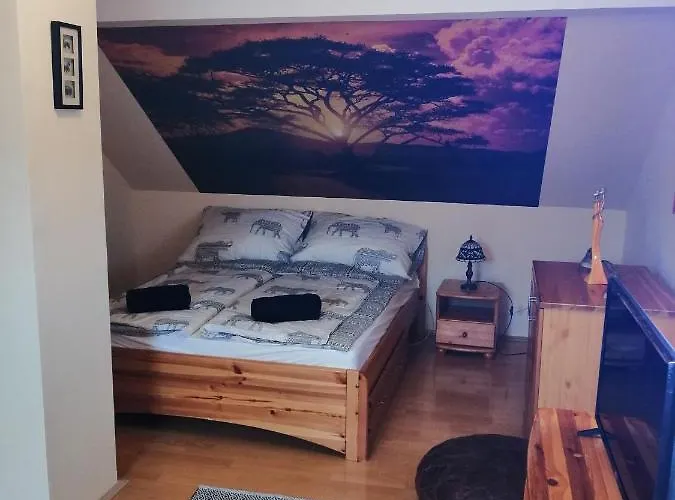 Elza Apartament Makó